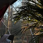 Kamienczyk Glamp - Pod Warszawa Kamienczyk (Wyszkow)