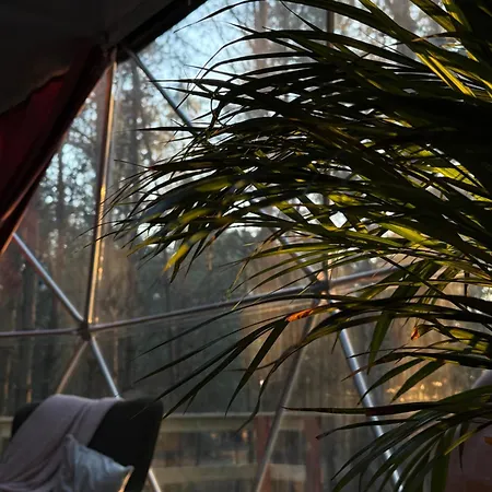 Kamienczyk Glamp - Pod Warszawa Kamienczyk (Wyszkow)