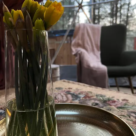 Kamienczyk Glamp - Pod Warszawa