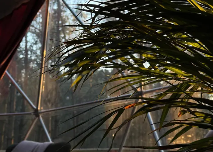 Kamienczyk Glamp - Pod Warszawa Kamienczyk (Wyszkow)